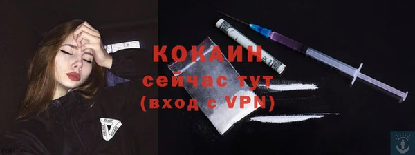 дживик Аркадак