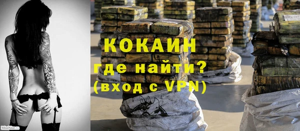 дживик Аркадак