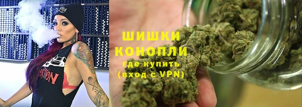 крисы Сатка