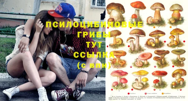 кокаин премиум Алзамай
