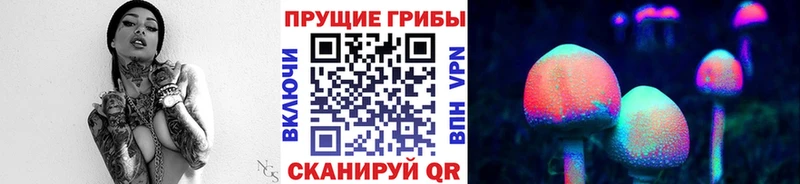 Галлюциногенные грибы Psilocybine cubensis  маркетплейс Telegram  Бодайбо  где купить  